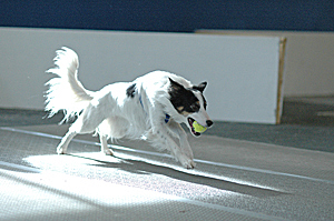 020406B 081